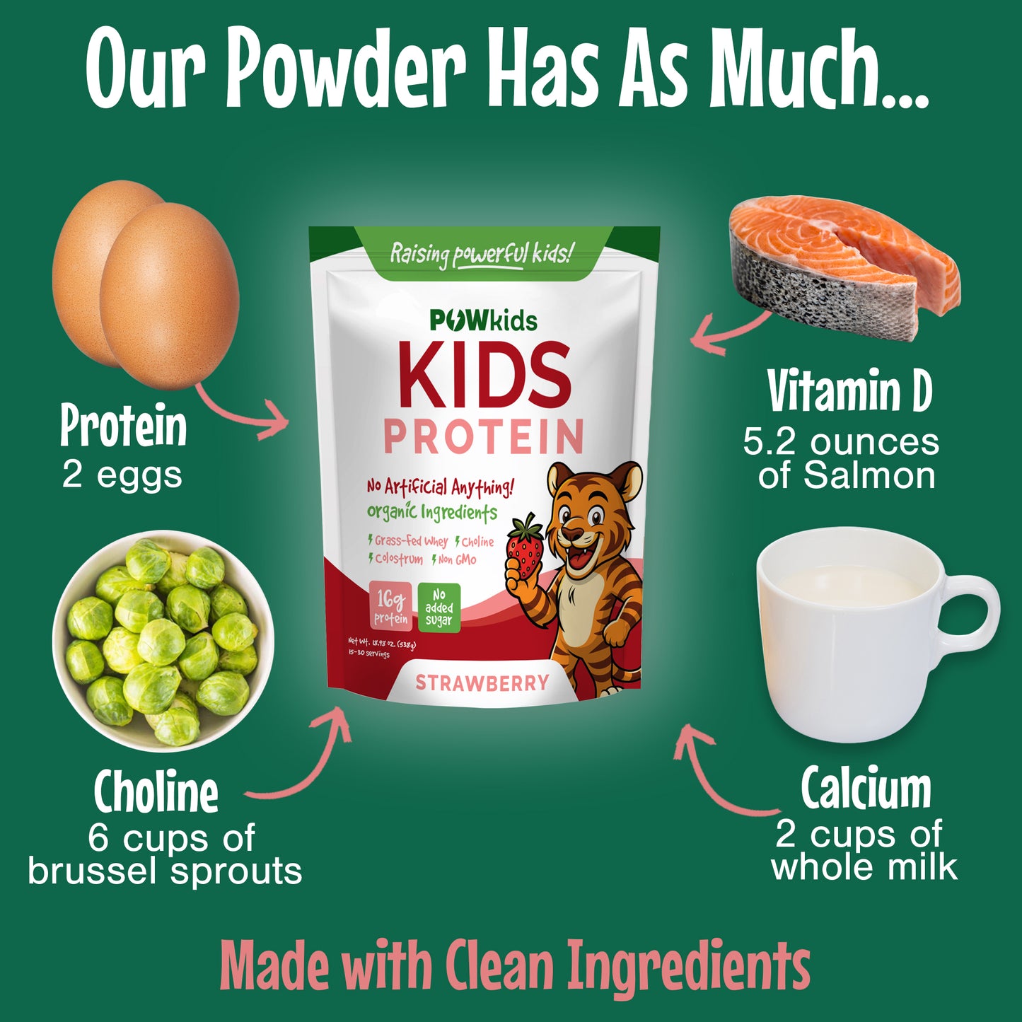 Protein Powder Comparison